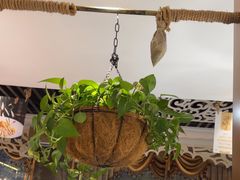 -白马宴·椒麻鸡(新华南路店)