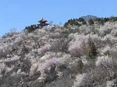 -白水寺森林公园