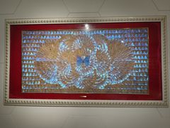 -上海昆虫博物馆