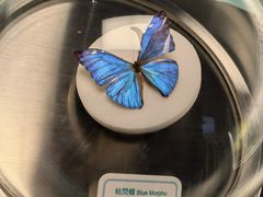 -香港科学馆