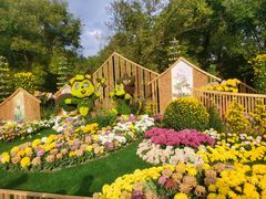 -上海共青森林公园