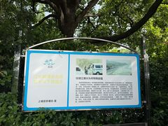 -钱塘江
