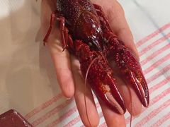 -霸王虾·麻辣小龙虾(清水河公园店)