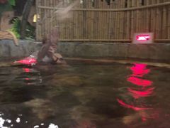 -泉城欧乐堡戏水湾艺术养生温泉