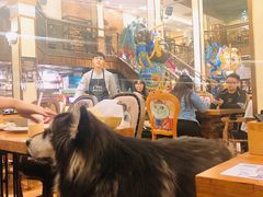 -more than meow吴止猫主题餐厅(承德 中船汇店)