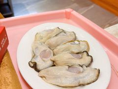 -濠轩阁特色生蚝火锅总店