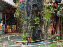 -正佳雨林生态植物园
