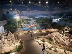 -自贡恐龙博物馆