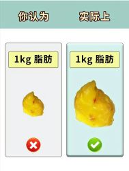 -Fundi张玉珊修身堂·indiba·BTL科技瘦身