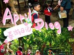 -呀路古热带植物园