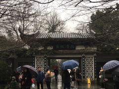 -西湖外事游船(花港观鱼码头)