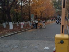 -长白岛森林公园