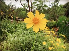-昆山城市生态森林公园