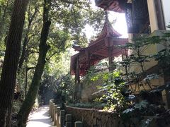 -十八棵（老龙井）御茶园(老龙井店)