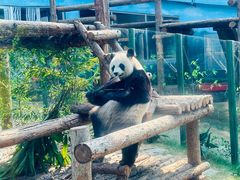 -大连森林动物园