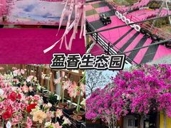 -盈香心动乐园