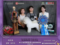 -鑫艺宠物美容培训学校