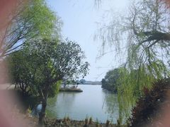 -梁鸿国家湿地公园