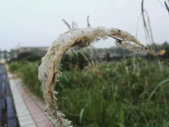 -千龙湖生态旅游度假区