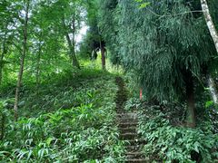 -西岭雪山大飞水景区
