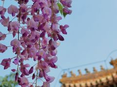 -北京国子监胡同