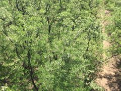 -南戴河国际娱乐中心