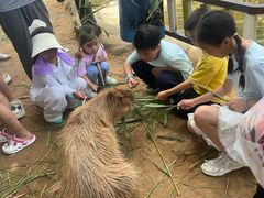 -西霞口神雕山野生动物世界