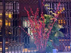 -福州天元国际威斯汀酒店·中国元素餐厅