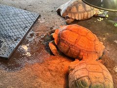 -祥源·阜阳生态乐园