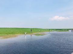 -黑龙江扎龙生态旅游区