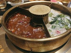 -巴奴毛肚火锅(九洲店)