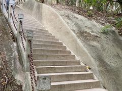 -梧桐山风景名胜区