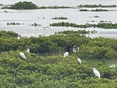 -洛阳桥