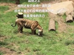 -昆明动物园