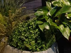 -仟汇足道·SPA(秀洲总店)