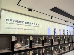 -翊宠yipet猫狗购宠庄园