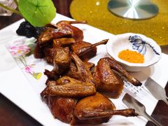 中山妙龄乳鸽-中苑海韵