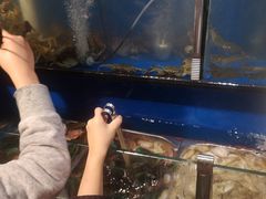 -苏格里岛自助海鲜烤肉(青秀万达店)