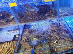 -77号渔船·蒸海鲜青岛菜(积米崖店)