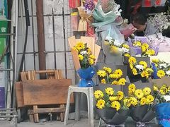 -花冠鲜花(勿忘我花店)