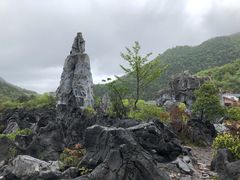 -千岛湖石林