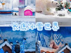 -长鹿旅游休博园