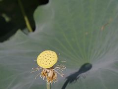 -丝绸小镇荻港古村