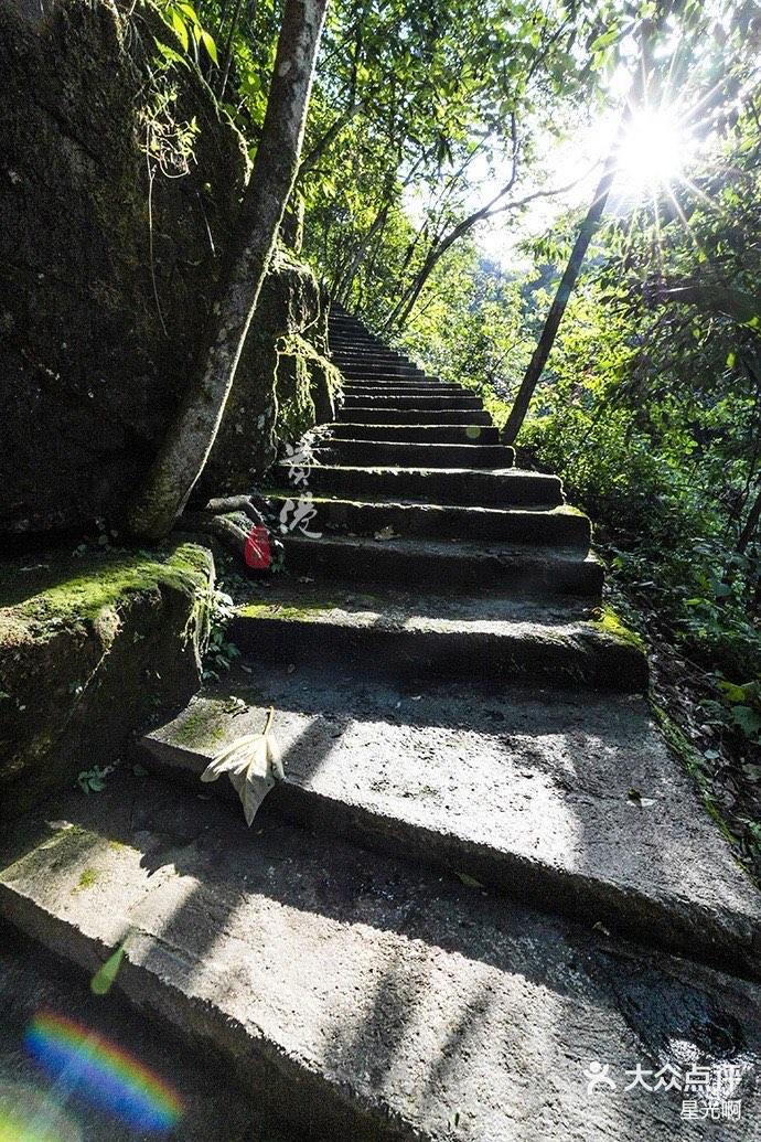||必是仙人居住的处所吧充