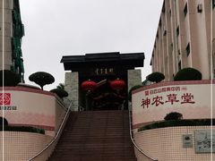 -广州神农草堂中医药博物馆