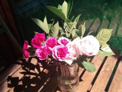 -JC·YOGA静禅瑜伽普拉提