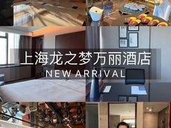 -上海龙之梦万丽酒店