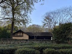 -法云安缦酒店