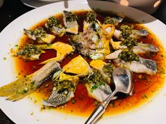 -甄御•海鲜新青岛菜(麦岛店)