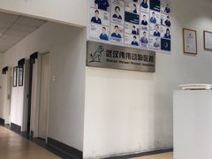 -伟伟宠物医院·瑞派猫友好医院·猫科(光谷店)